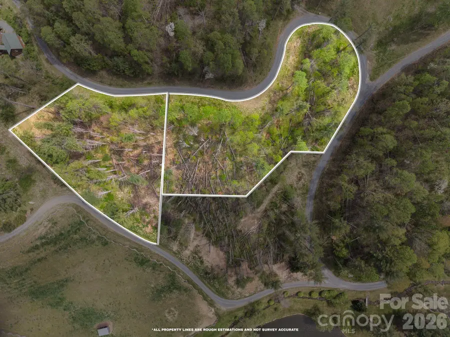 99999 White Pine Lane #19 & 18, Bakersville, NC 28705 - #2
