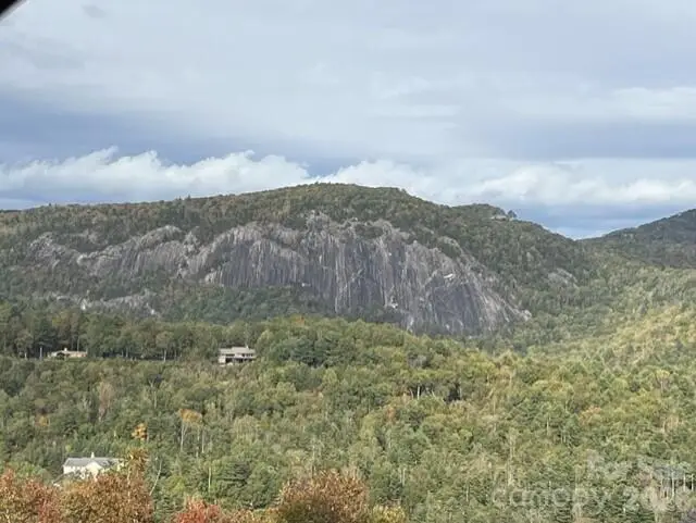 31 Tomba Way, Cashiers, NC 28717 - #1