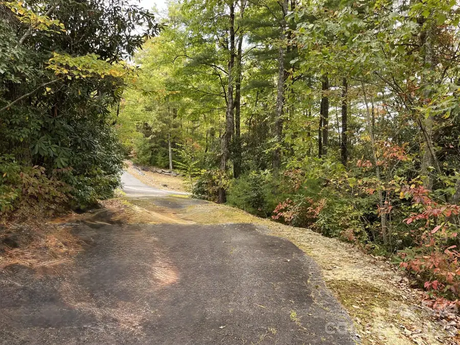 31 Tomba Way, Cashiers, NC 28717 - #3