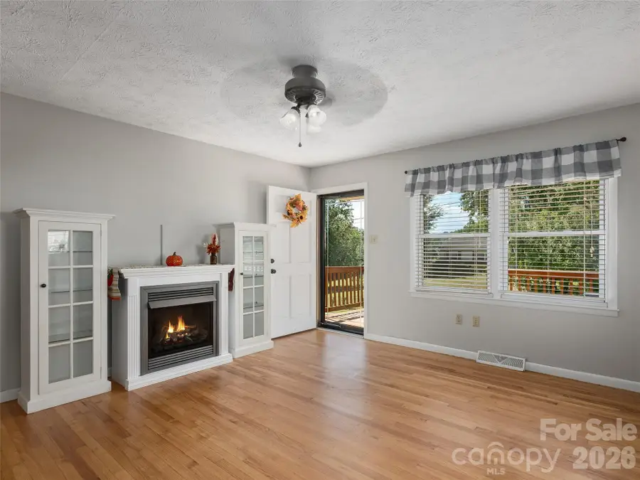 407 Lower Grassy Branch Road, Asheville, NC 28805 - #3