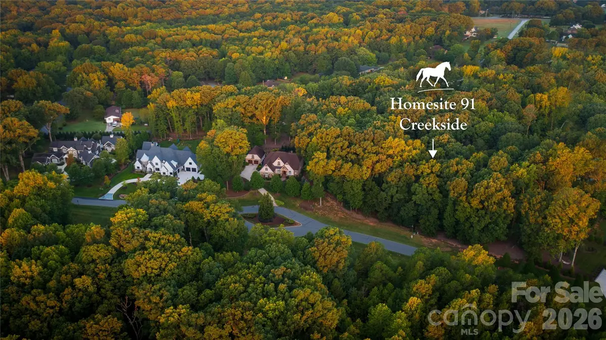 3909 Piaffe Avenue, Mint Hill, NC 28227 - #1