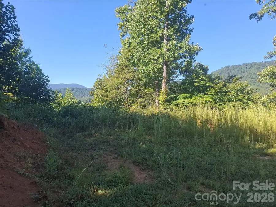 1 River Crest, Burnsville, NC 28714 - #2