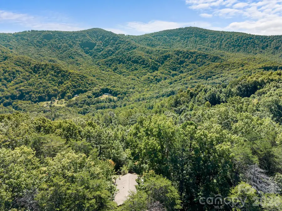 600 Piney Gate Road, Saluda, NC 28773 - #2