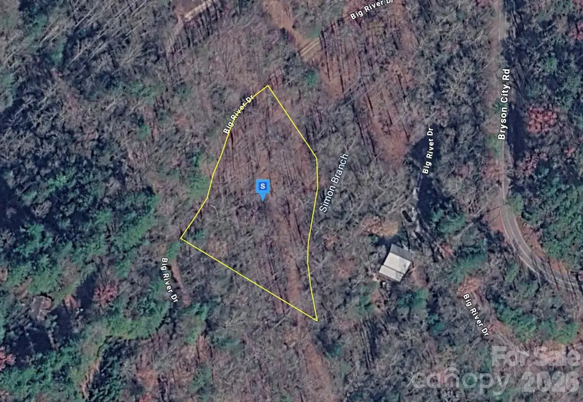 150 Big River Drive, Bryson City, NC 28713 - #1