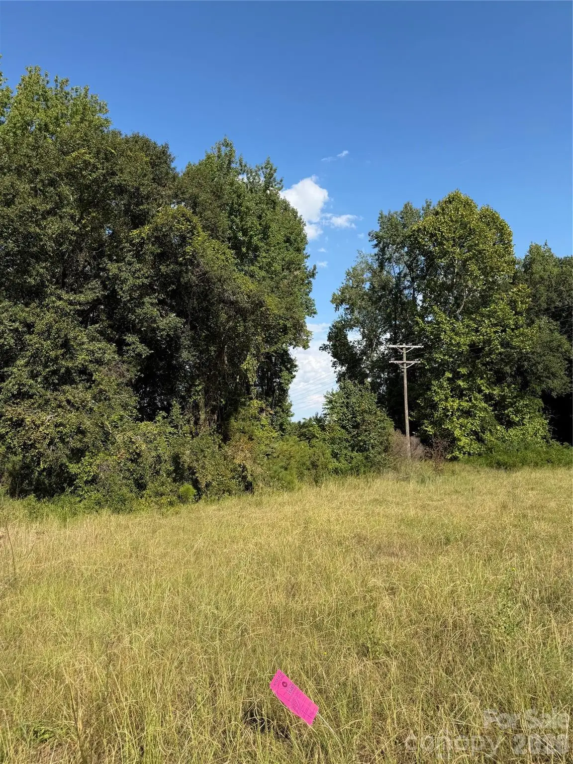 801 S Van Lingle Mungo Boulevard, Pageland, SC 29728 - #1