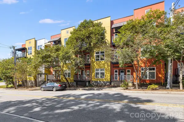 125 Clingman Avenue #203, Asheville, NC 28801