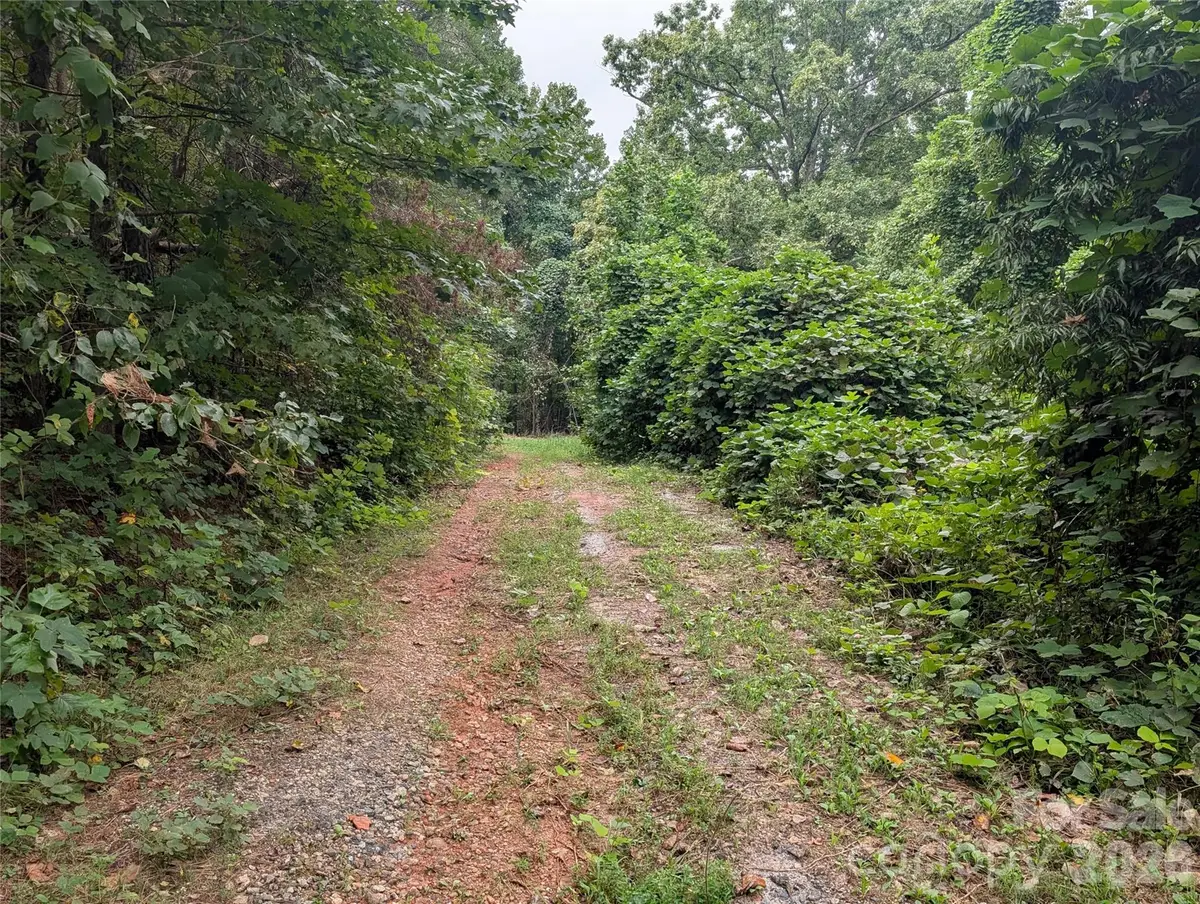 00 Pea Ridge Road, Mill Spring, NC 28756 - #1