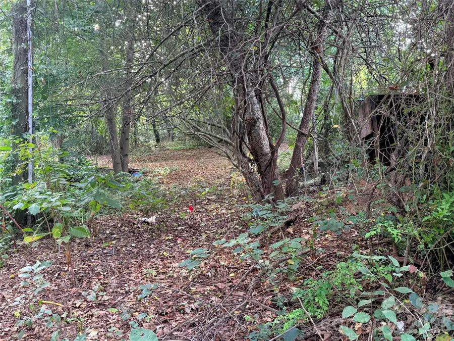173 & 175 Dix Creek Chapel Road, Asheville, NC 28806 - #3
