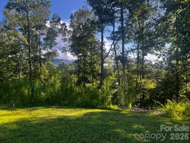 23 Mountain Parkway, Mill Spring, NC 28756 - #1