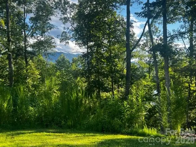 23 Mountain Parkway, Mill Spring, NC 28756 - #2