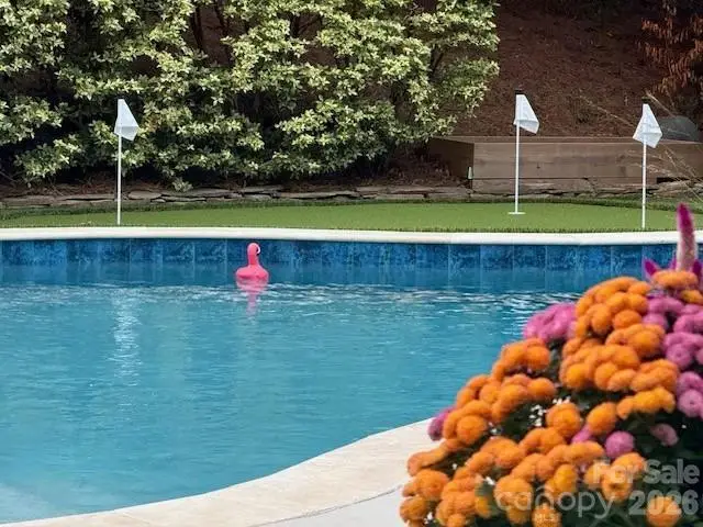7824 Hickory Stick Place, Charlotte, NC 28277 - #2
