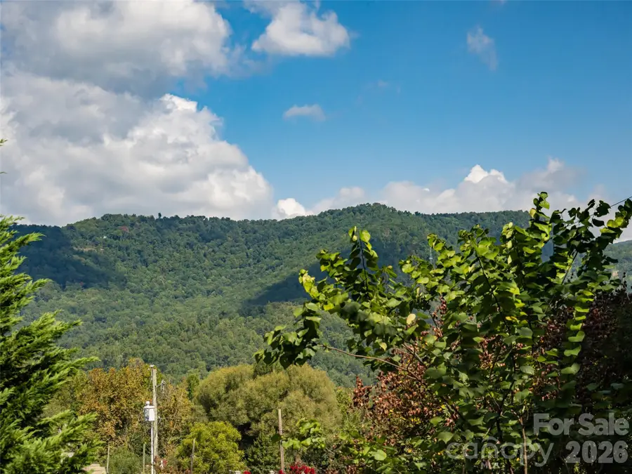 1 Half Moon Drive, Swannanoa, NC 28778 - #2