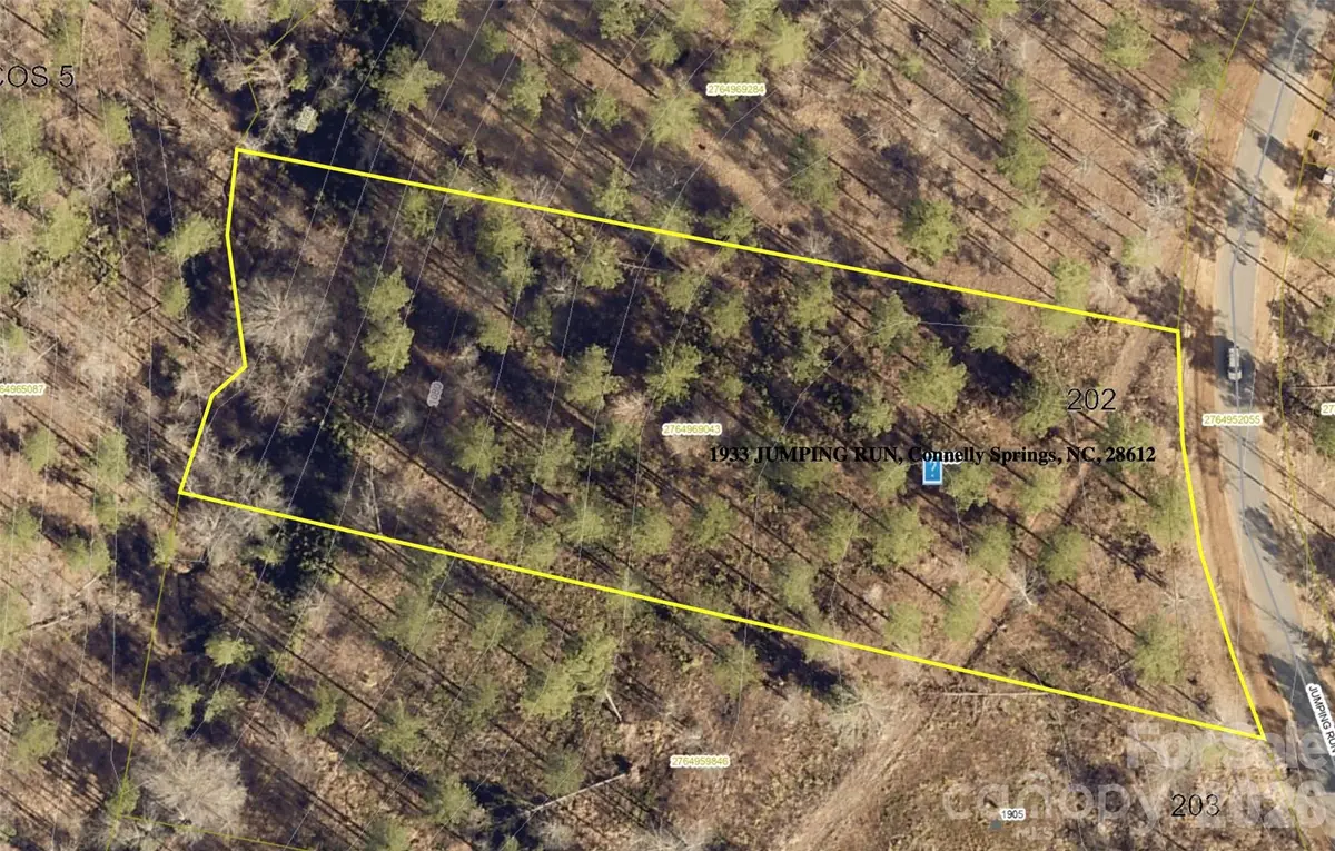 1933 Jumping Run, Connelly Springs, NC 28612 - #1