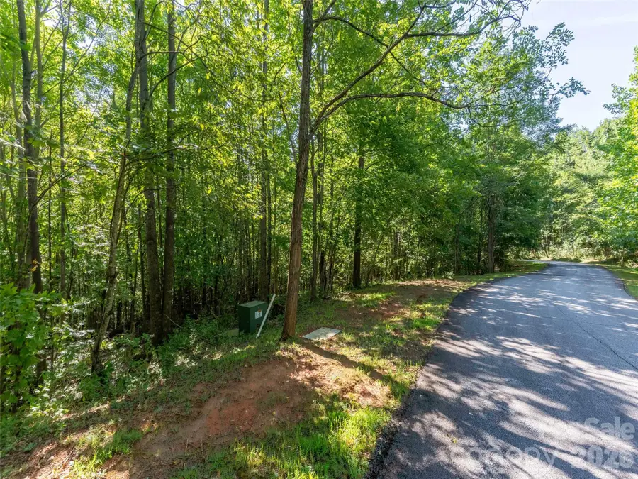 0 Cherry Hill #221, Mill Spring, NC 28756 - #2