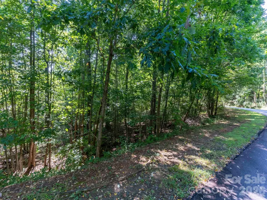 0 Cherry Hill #221, Mill Spring, NC 28756 - #3