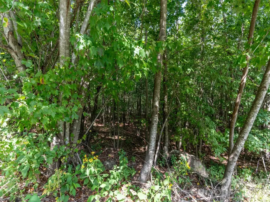 0 Deep Gap Farm Road W #2040, Mill Spring, NC 28756 - #2