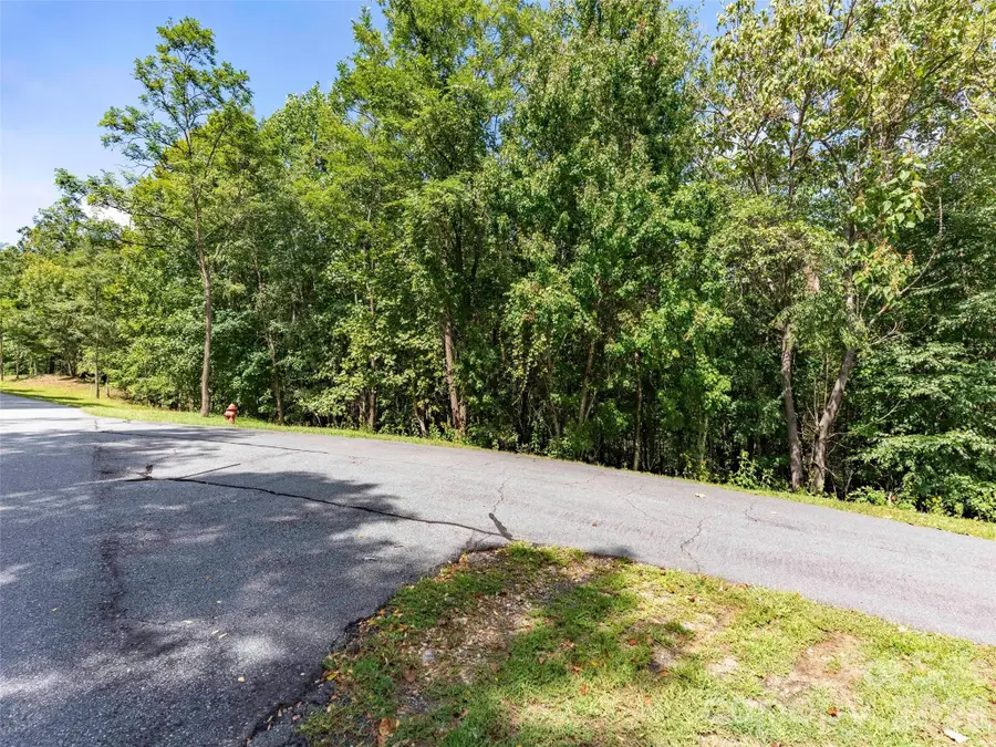 0 Deep Gap Farm Road W #2040, Mill Spring, NC 28756 - #3