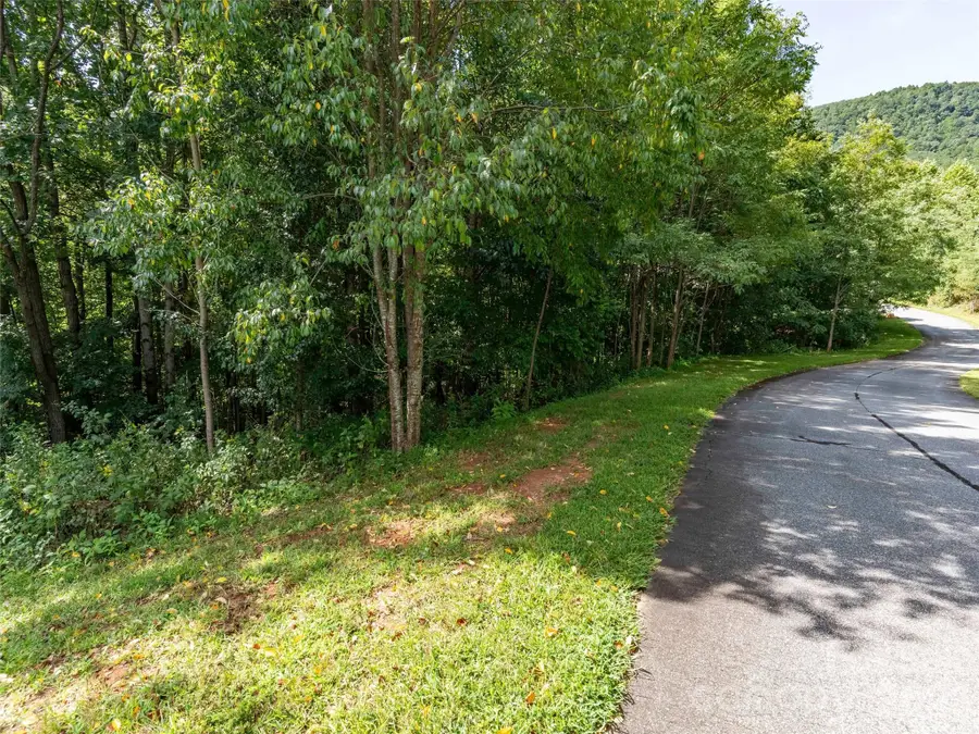 0 Deep Gap Farm Road W #2061, Mill Spring, NC 28756 - #3