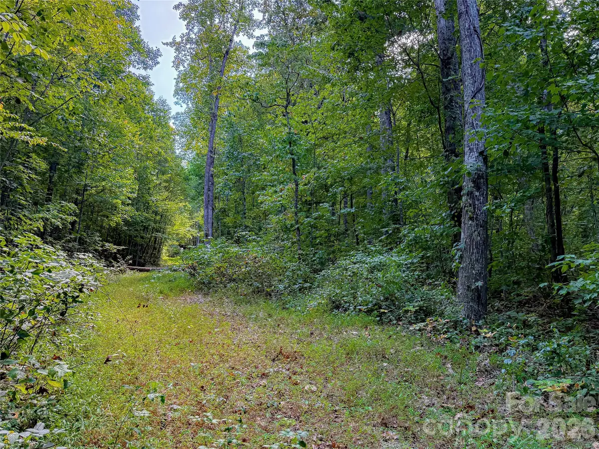 99999 High Top Mountain Road #Lot 2, Leicester, NC 28748 - #1
