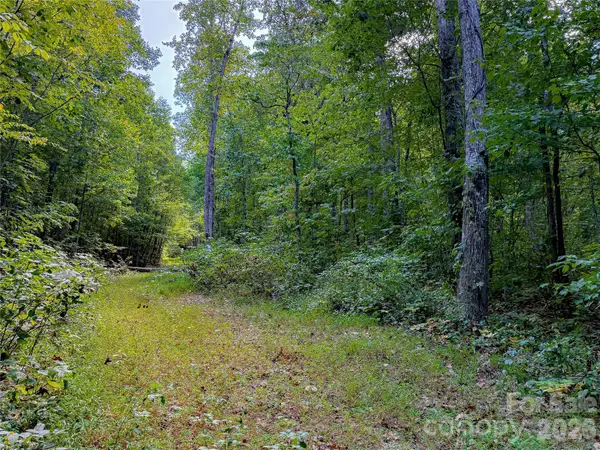 99999 High Top Mountain Road #Lot 2, Leicester, NC 28748
