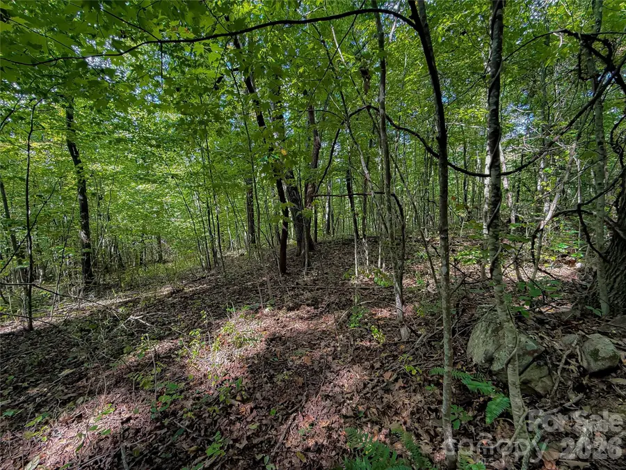 99999 High Top Mountain Road #Lot 2, Leicester, NC 28748 - #3