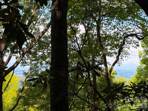 99999 High Top Mountain Road #Lot 3, Leicester, NC 28748