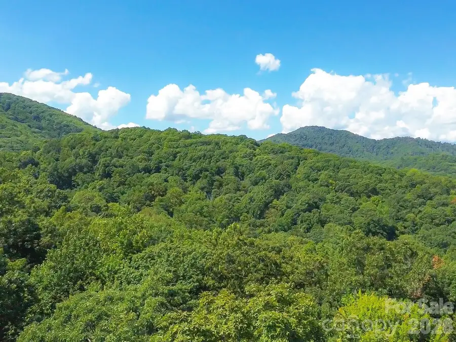99999 High Top Mountain Road #Lot 3, Leicester, NC 28748 - #2