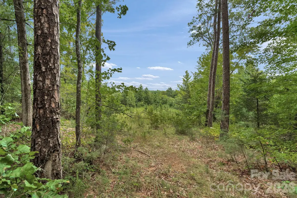 00 Mountain Road, Cleveland, NC 27013 - #1