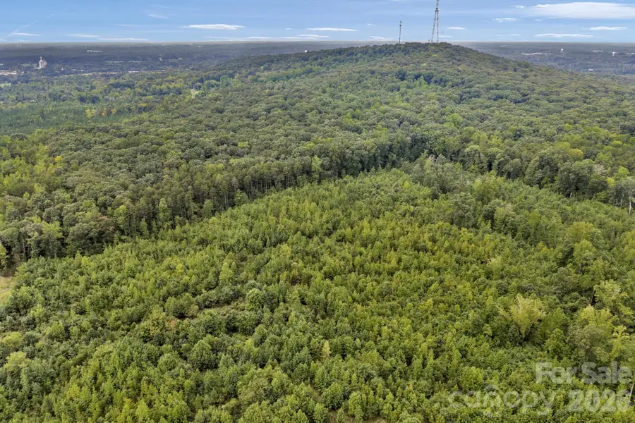 00 Mountain Road, Cleveland, NC 27013 - #3