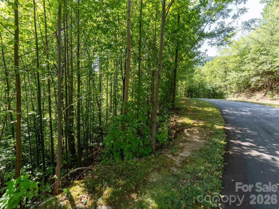 0 Anthony Court #2070, Mill Spring, NC 28756 - #2