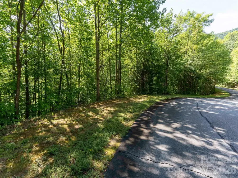 0 Anthony Court #2070, Mill Spring, NC 28756 - #3
