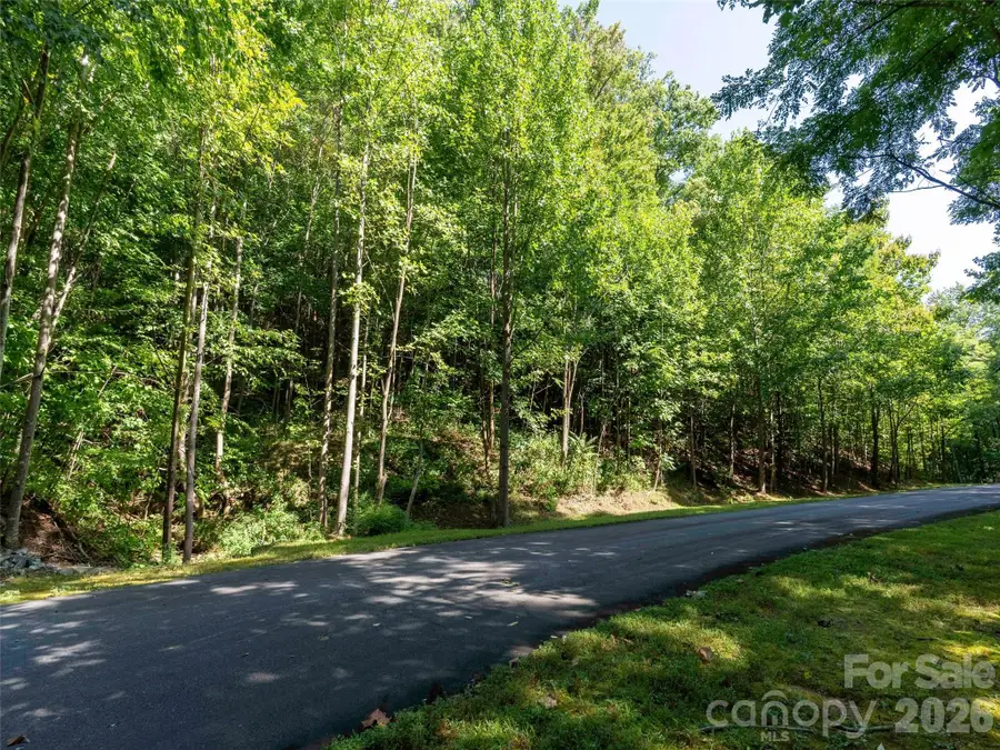 0 Harm Creek Loop #2142, Mill Spring, NC 28756 - #2