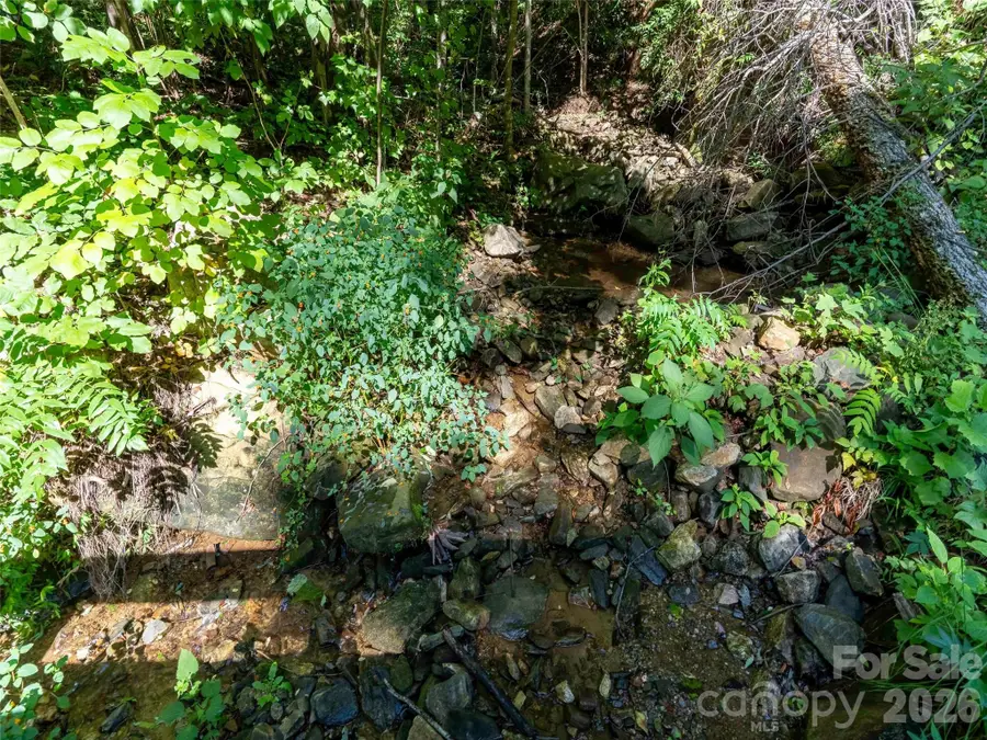 0 Harm Creek Loop #2142, Mill Spring, NC 28756 - #3