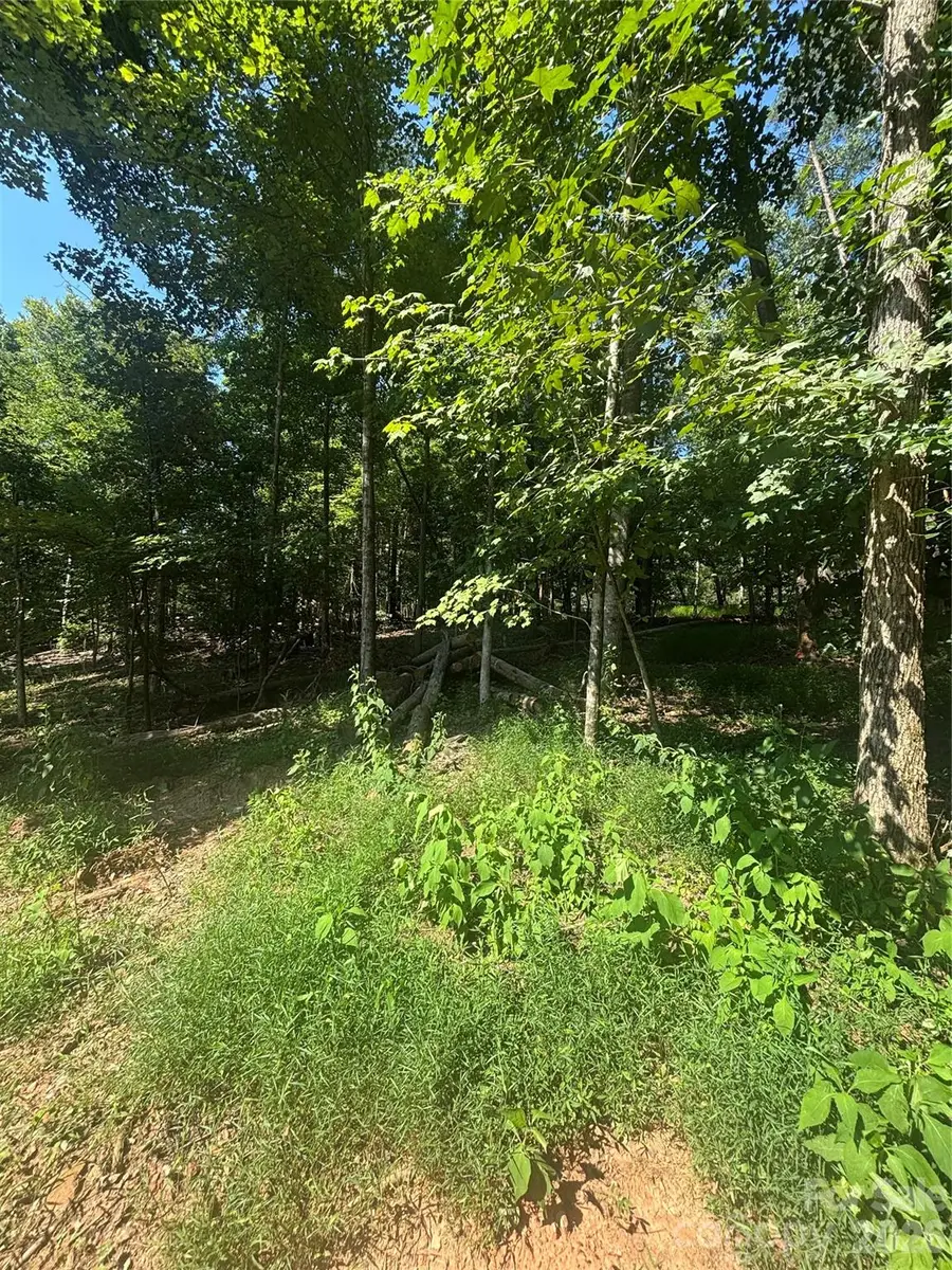 000 Pineview Court, Tryon, NC 28782 - #2