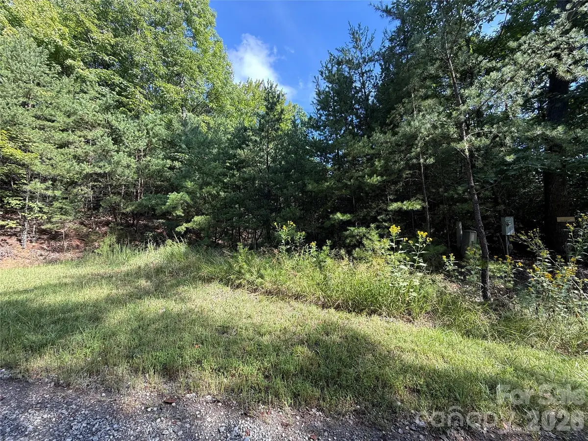 TBD Wolf Pen Road #24, Purlear, NC 28665 - #1