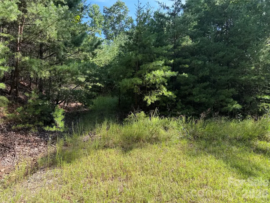 TBD Wolf Pen Road #24, Purlear, NC 28665 - #3