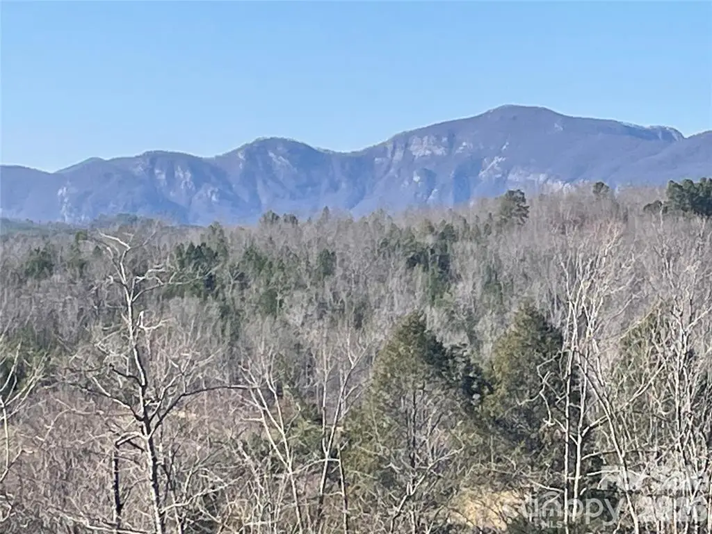 0 S Cross Creek Trail #17, Mill Spring, NC 28756 - #1