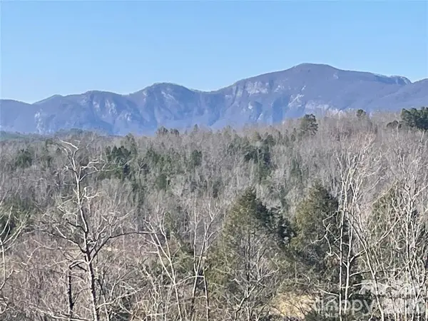 0 S Cross Creek Trail #17, Mill Spring, NC 28756