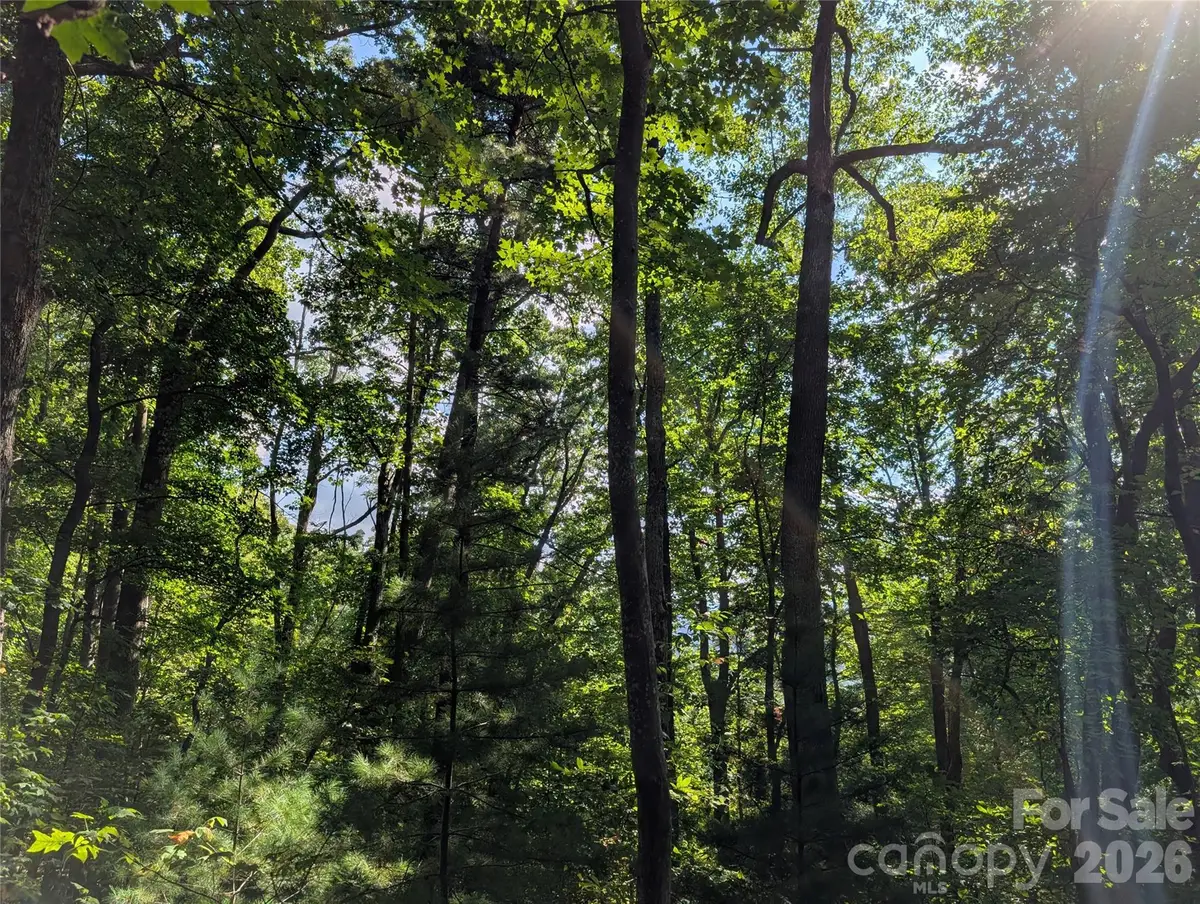0 Raspberry None, Spring Creek, NC 28743 - #1