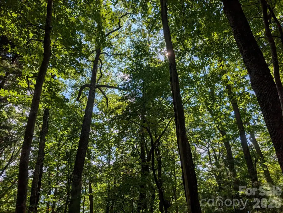 0 Raspberry None, Spring Creek, NC 28743 - #2