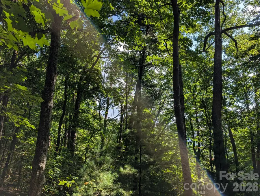 0 Raspberry None, Spring Creek, NC 28743 - #3