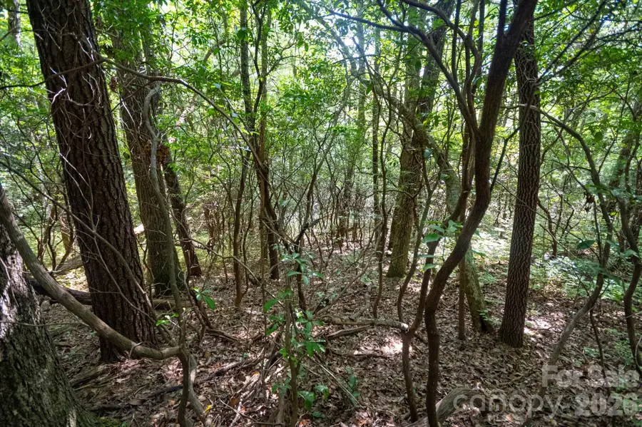 TBD Blue Ridge Road, Lake Toxaway, NC 28747 - #2