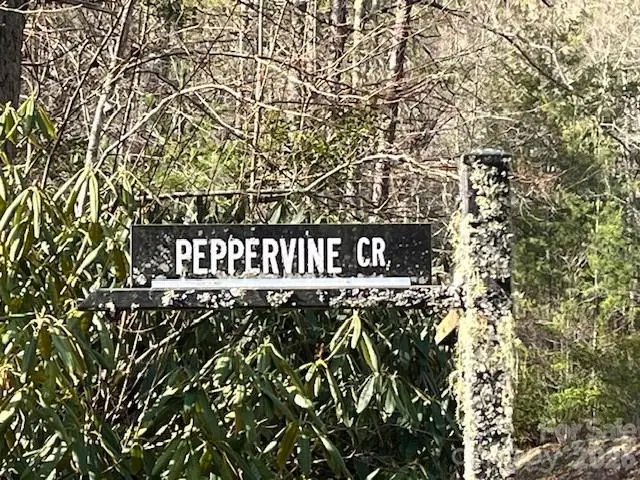 000 Peppervine Circle, Rosman, NC 28772 - #2