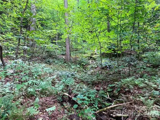 000 Peppervine Circle, Rosman, NC 28772 - #3