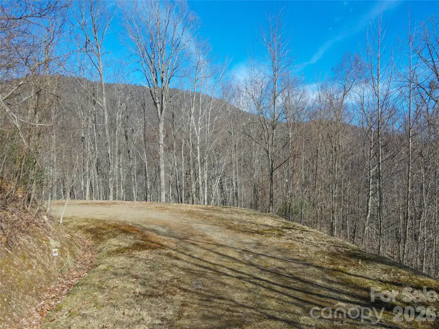 735 Whisper Mountain Drive, Leicester, NC 28748 - #3
