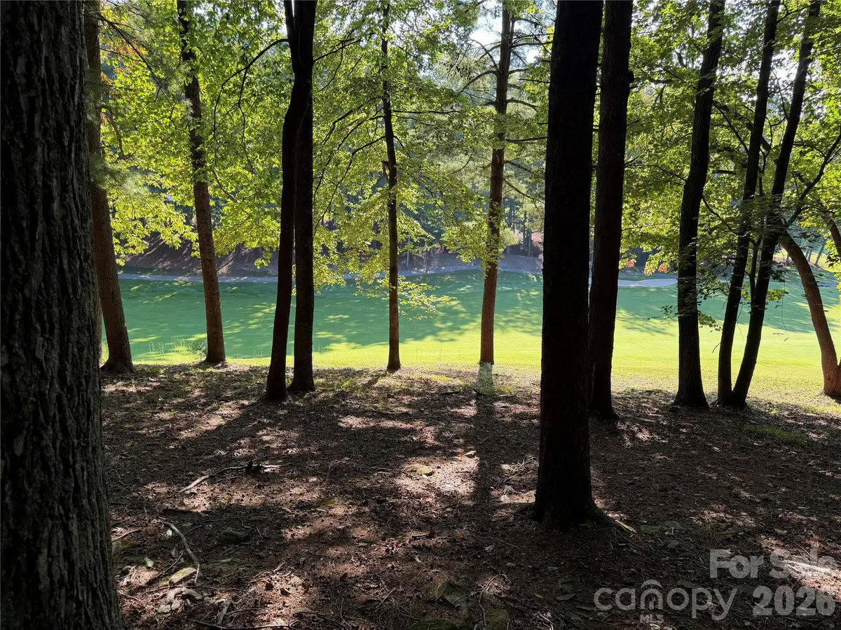 121 Bobby Jones Drive #48, Hendersonville, NC 28739 - #1