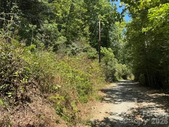 TBD Doris Lisa View Drive, Hendersonville, NC 28792 - #1