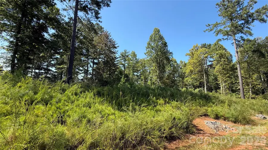 2119 Jumping Run #185, Connelly Springs, NC 28612 - #3