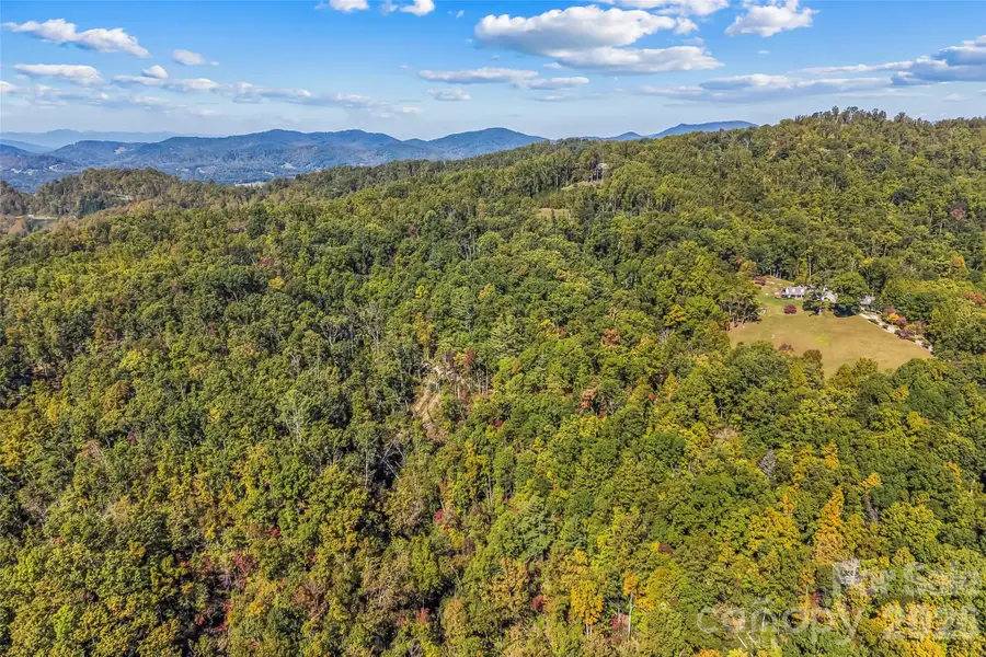 605 Lower Loop Drive, Fletcher, NC 28732 - #2
