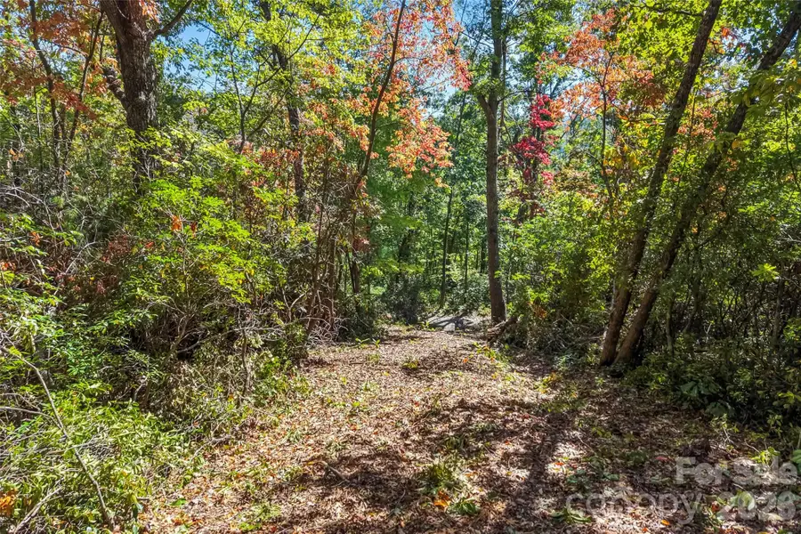 605 Lower Loop Drive, Fletcher, NC 28732 - #3